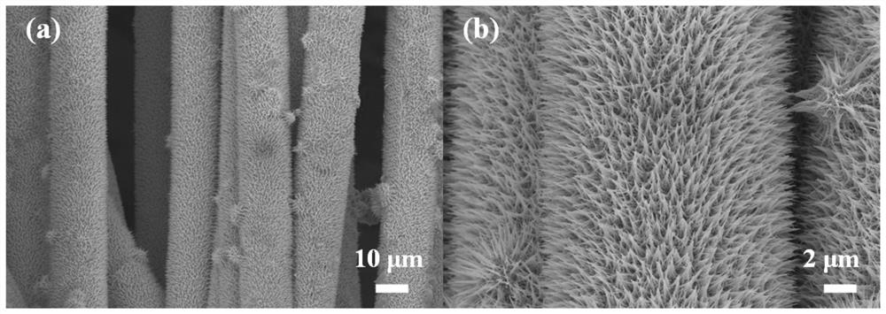 Preparation method and application of porous carbon fiber/tungsten oxide self-supporting lithium-sulfur battery positive electrode material