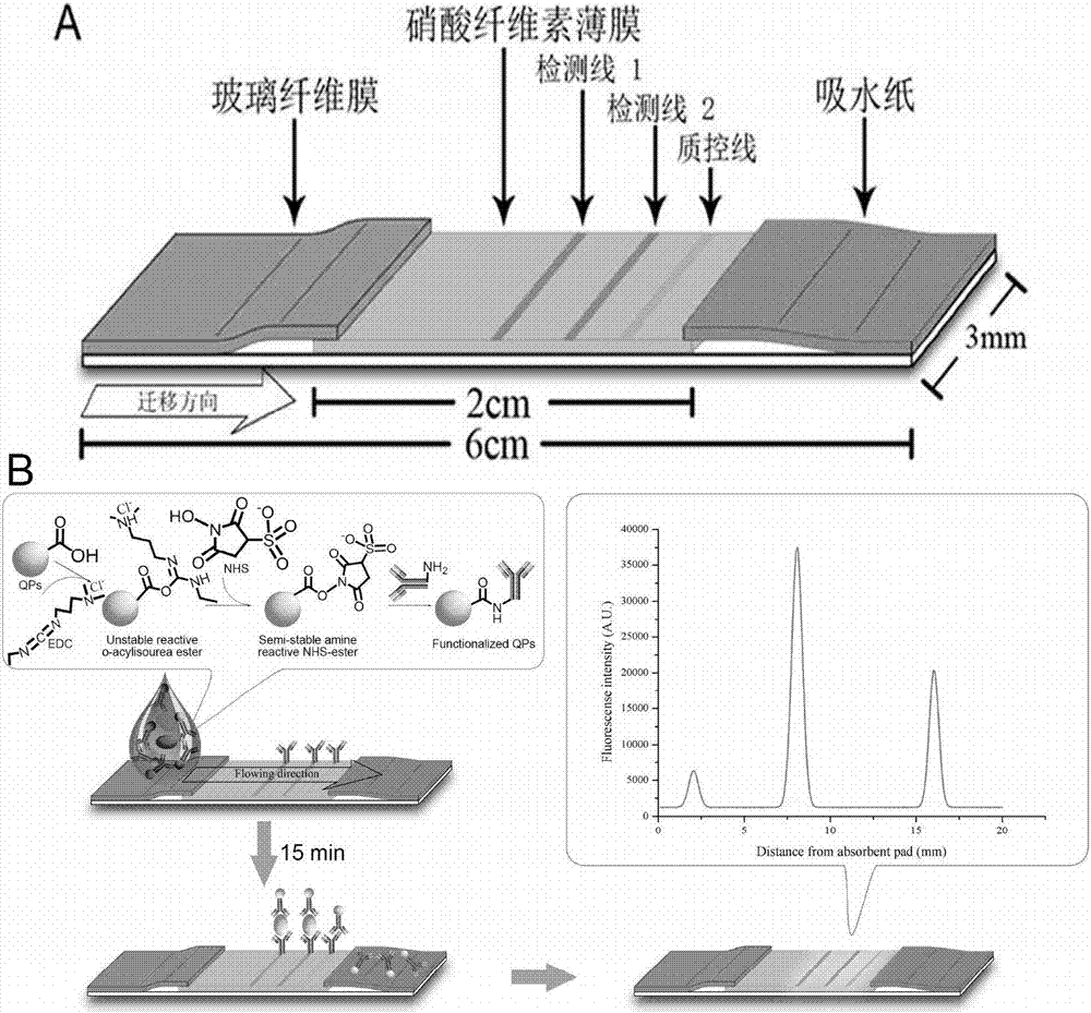 Kit for detecting keratoprotein 19 fragment and carcino-embryonic antigen contents in sample based on luminous quantum dot nanometer microemulsion probe