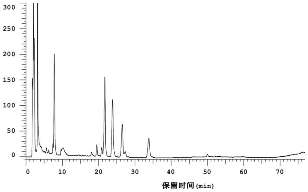 Hippophae rhamnoides beverage with synergistic tumor prevention and treatment effect and preparation method thereof