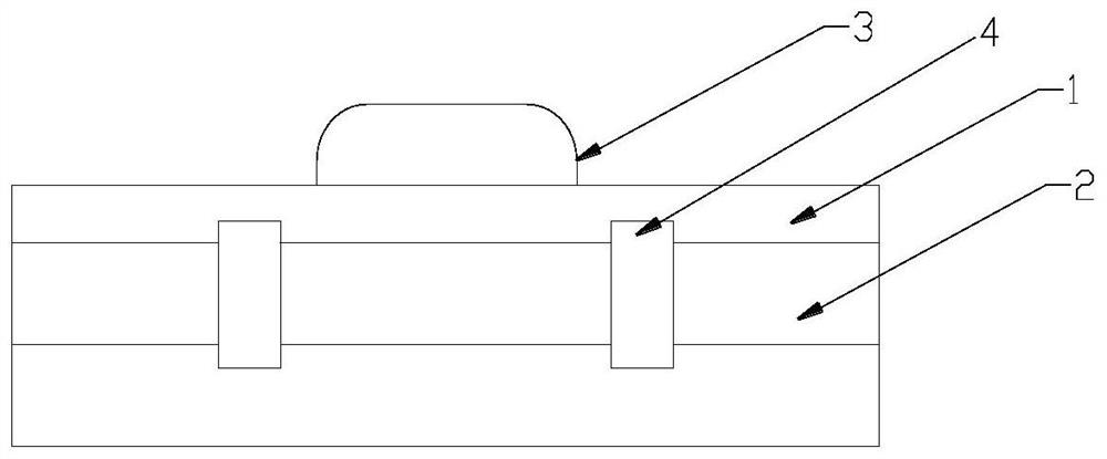 A kind of Phalaenopsis pollen preservation and breeding method