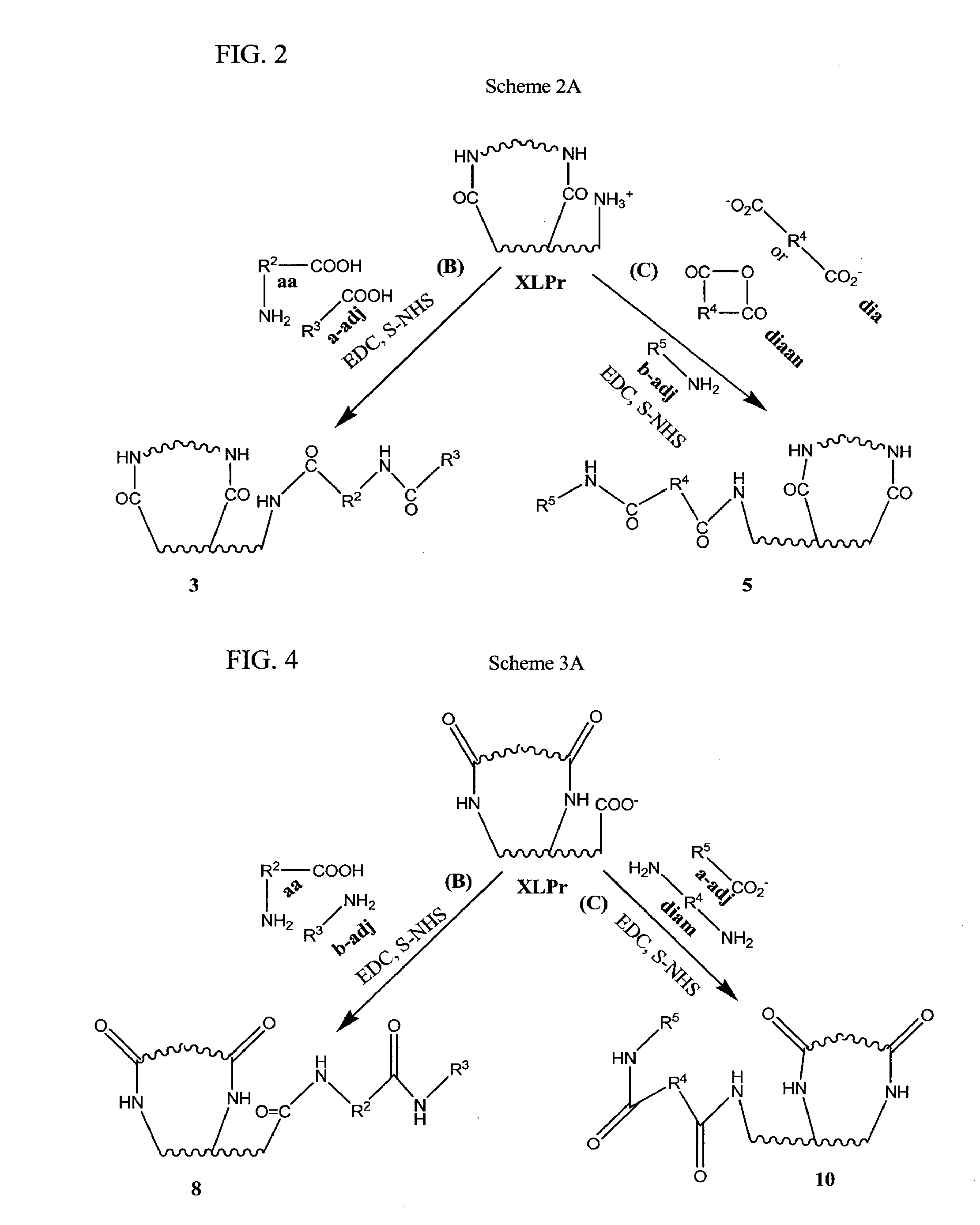 Stabilized, sterilized collagen scaffolds with active adjuncts attached