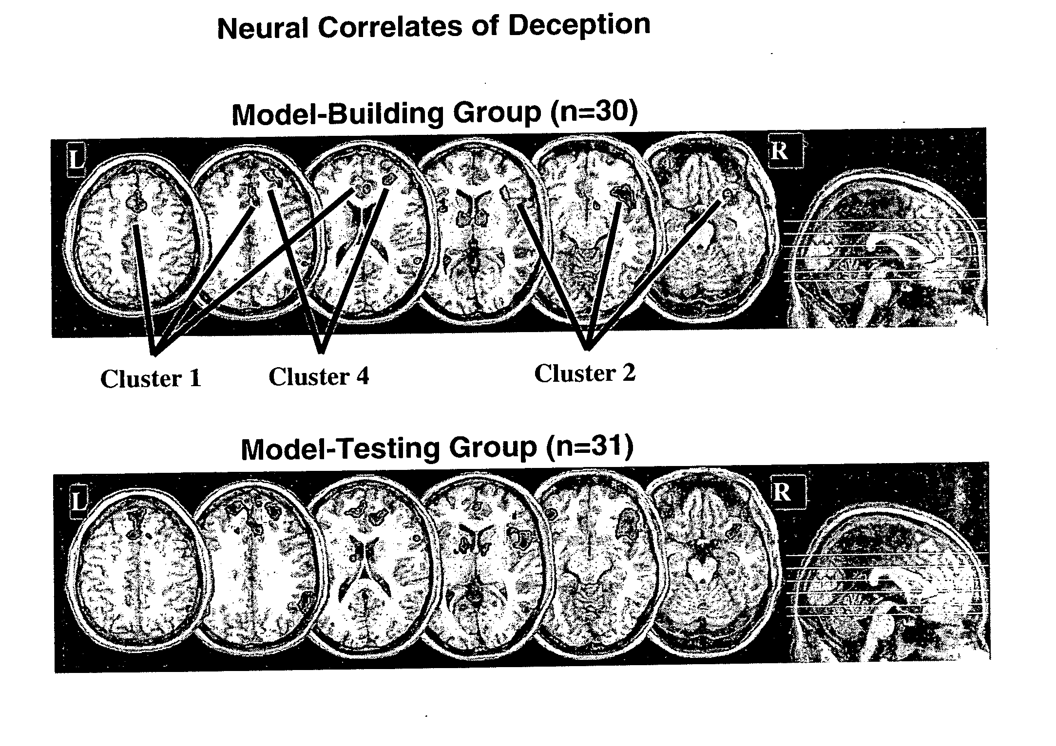 Questions and control paradigms for detecting deception by measuring brain activity