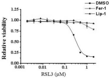 Application of ferroptosis inducer RSL3, and medicine for treating liver cancer