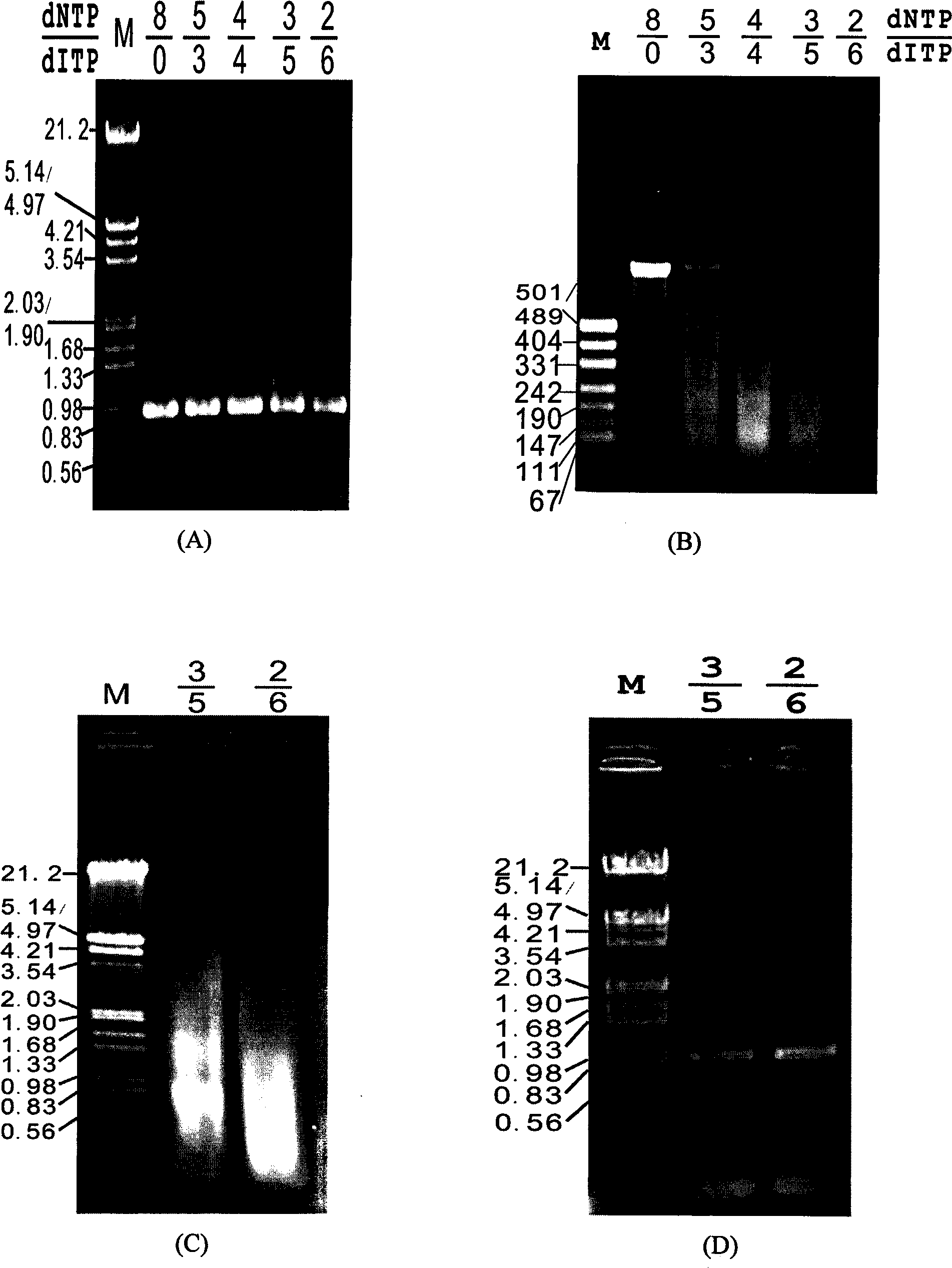 New gene mutation recombination method and application thereof