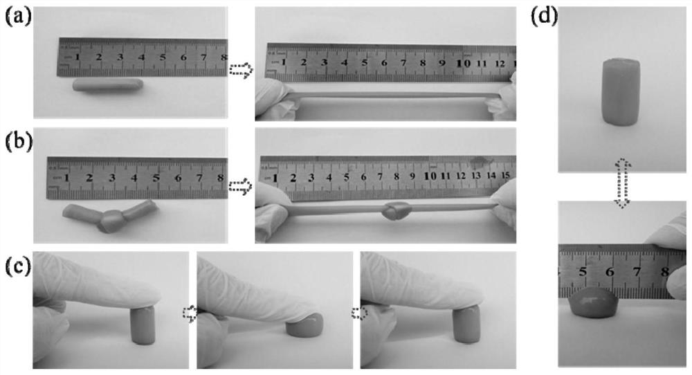 A kind of double network hydrogel and its preparation method and application