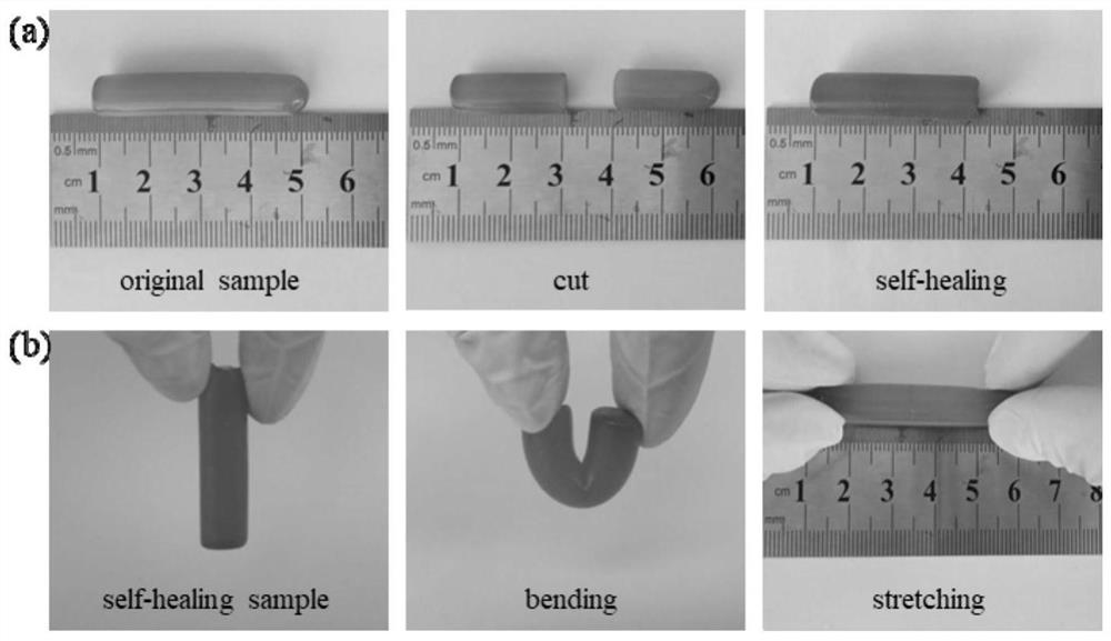 A kind of double network hydrogel and its preparation method and application