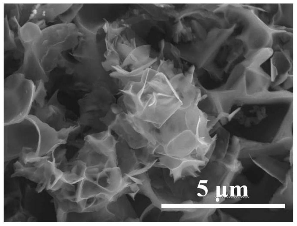 Preparation method and application of metal zinc negative electrode of aqueous zinc ion battery