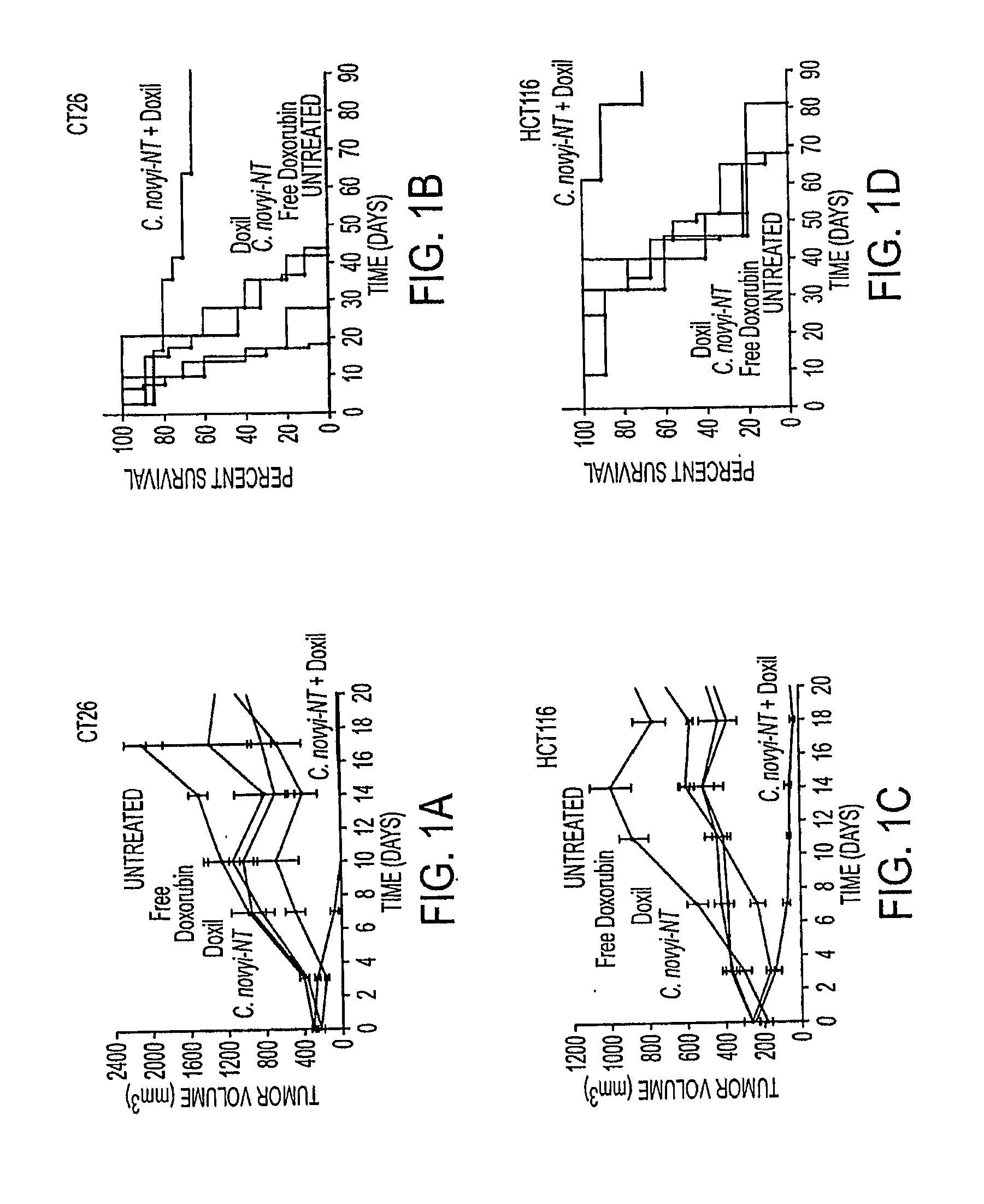 Tumor-specific delivery of therapeutic agents via liposomase