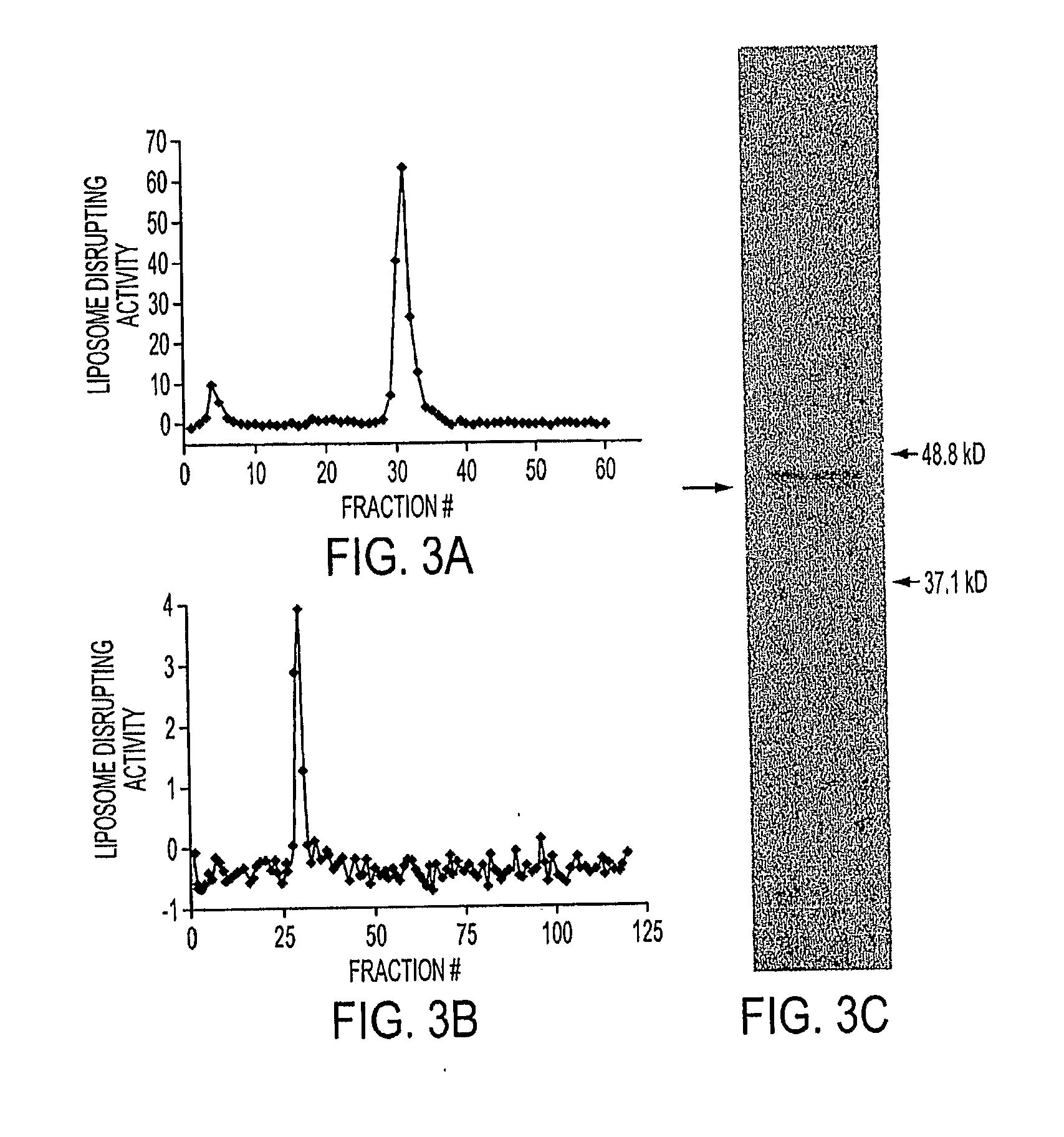 Tumor-specific delivery of therapeutic agents via liposomase