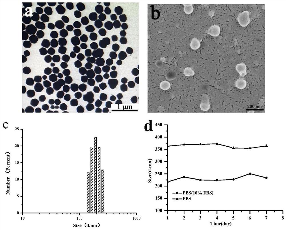 Synthesis of HSA-Biotin-DDA-TCPP molecule and application of HSA-Biotin-DDA-TCPP molecule as photodynamic therapeutic agent and nano-drug