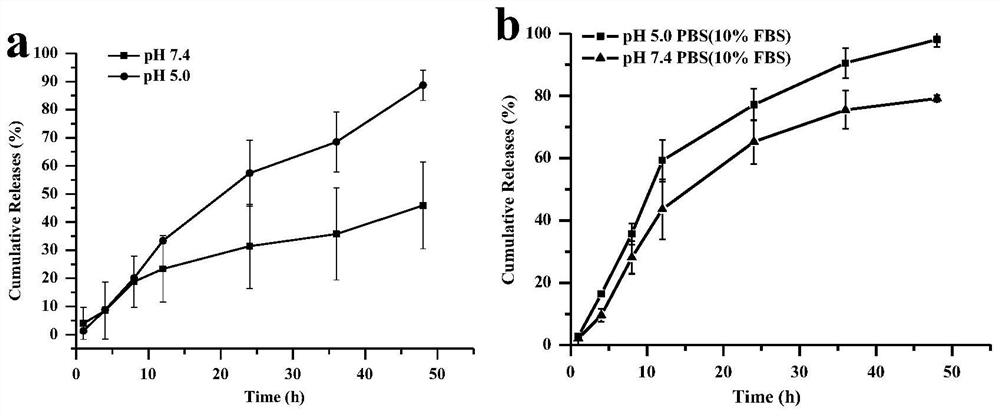 Synthesis of HSA-Biotin-DDA-TCPP molecule and application of HSA-Biotin-DDA-TCPP molecule as photodynamic therapeutic agent and nano-drug