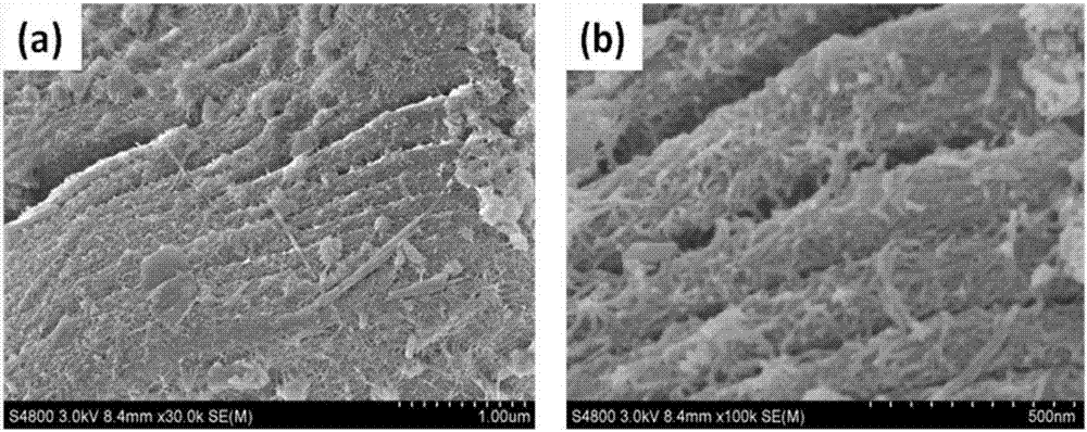 Titanium dioxide nanowire/two-dimensional layered titanium carbide composite material and low-temperature preparation method thereof
