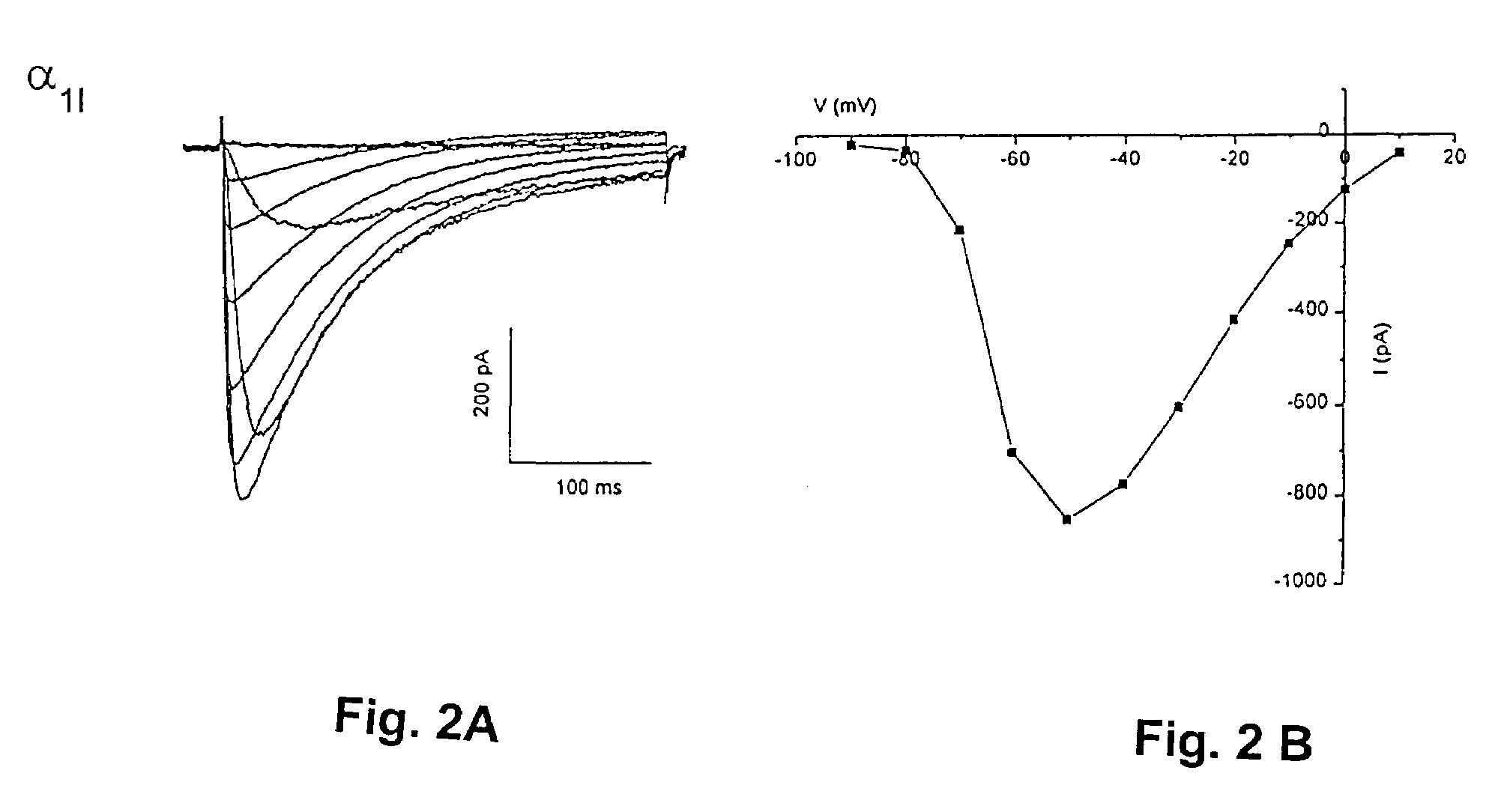 Methods for identifying agonists and antagonists of human T-type calcium channels