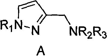 N,N-substituent-1-(1H-pyrazole-3-yl) methylamine and preparation method thereof