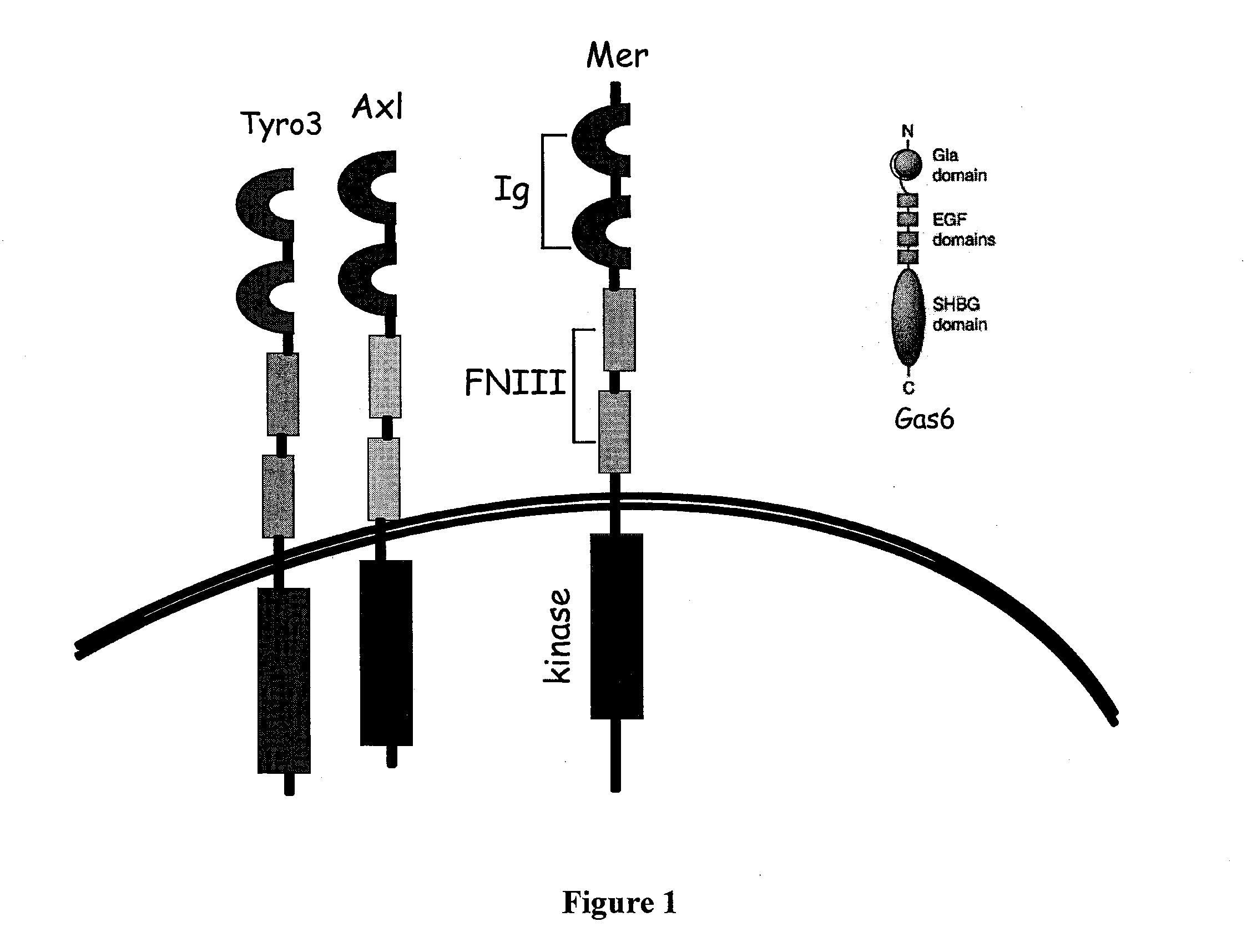Methods and compounds for enhancing Anti-cancer therapy