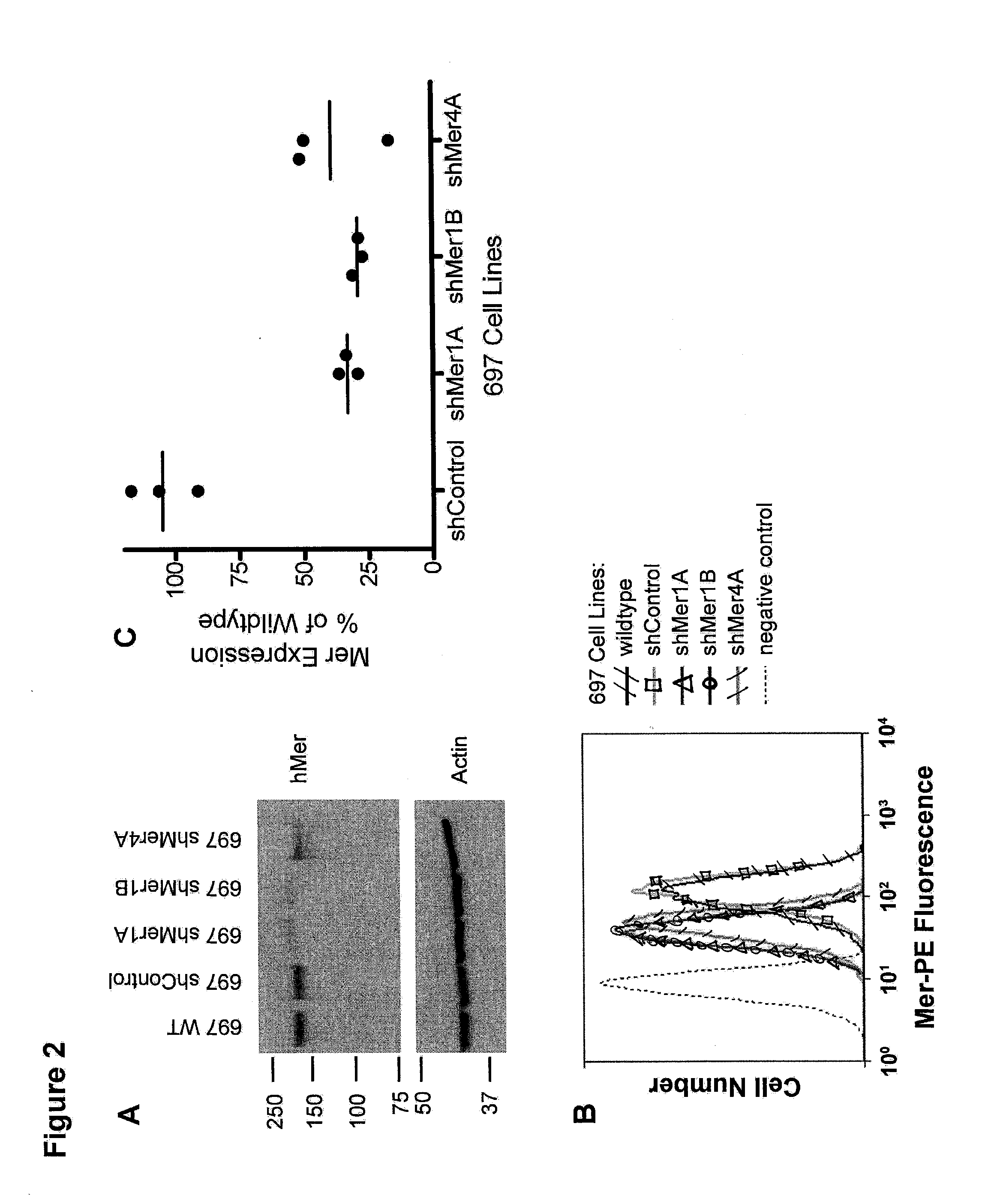 Methods and compounds for enhancing Anti-cancer therapy