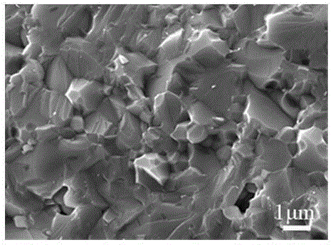 BaSnO3 based multiphase electrolyte material and preparation method thereof