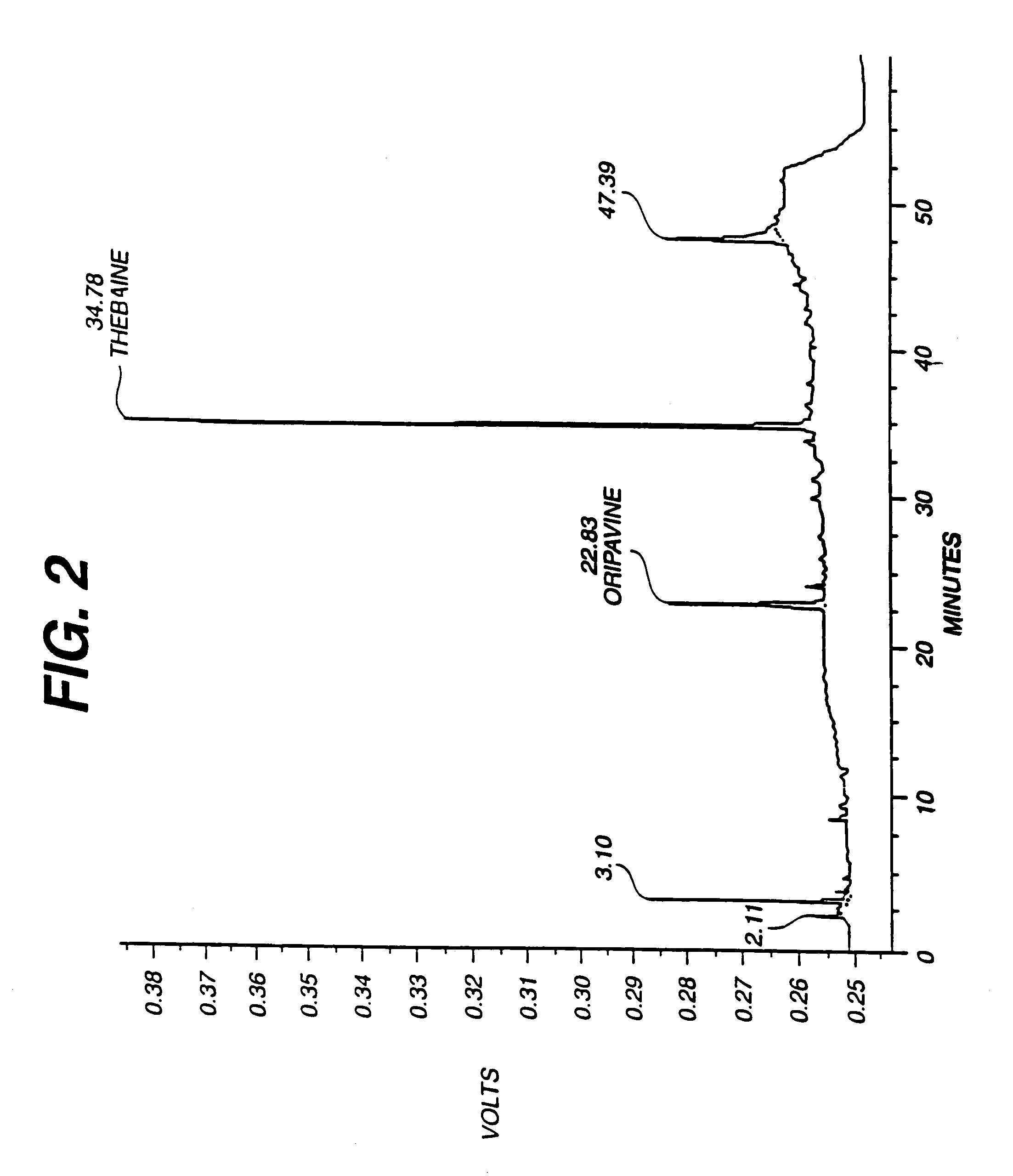 Production of thebaine and oripavine