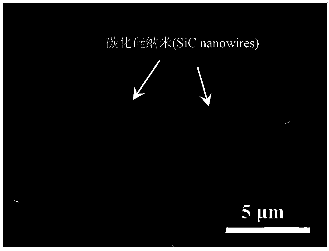 A kind of preparation method of nanowire reinforced SIC wear-resistant coating