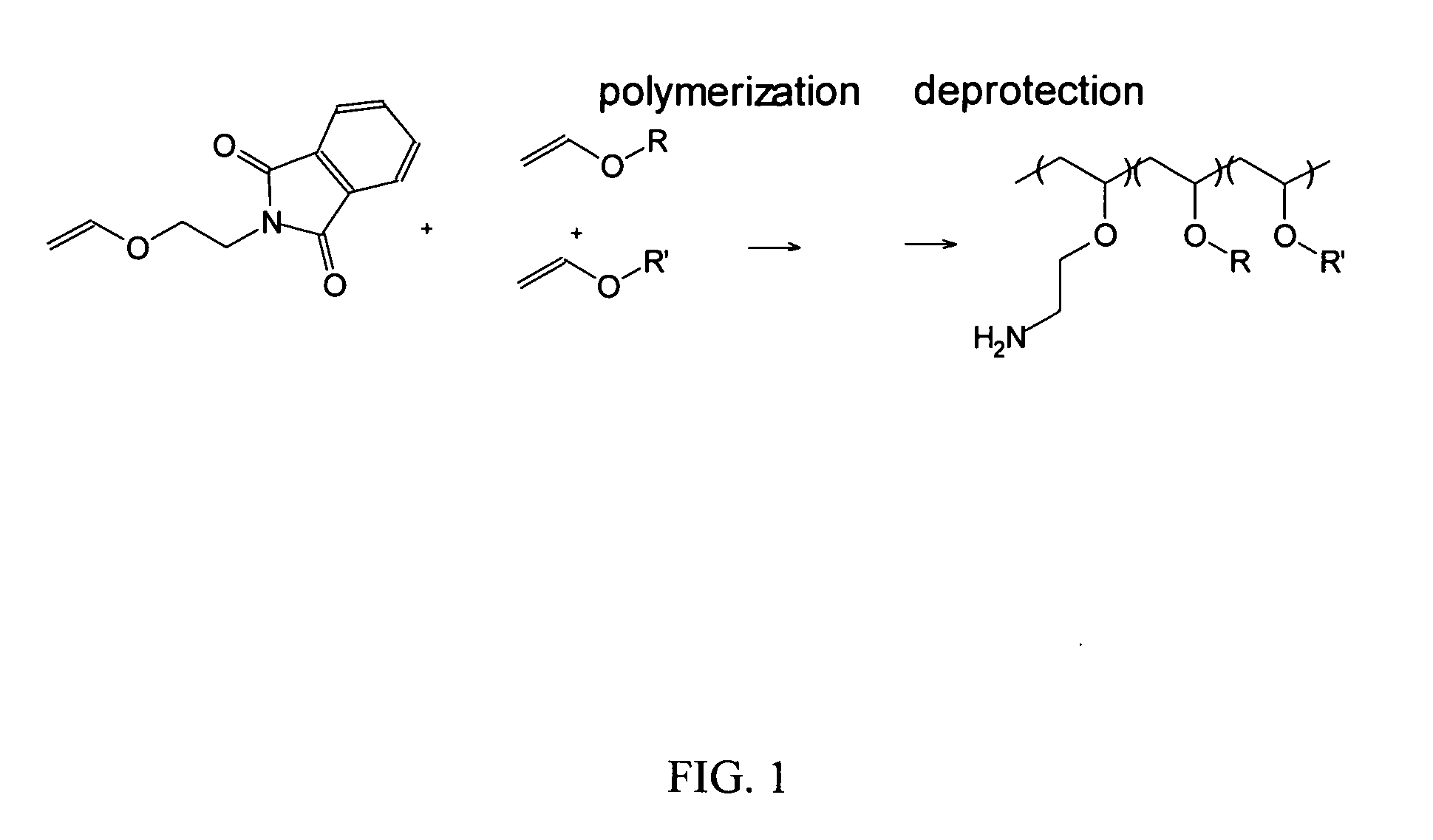 Compounds and Methods for Reversible Modification of Biologically Active Molecules