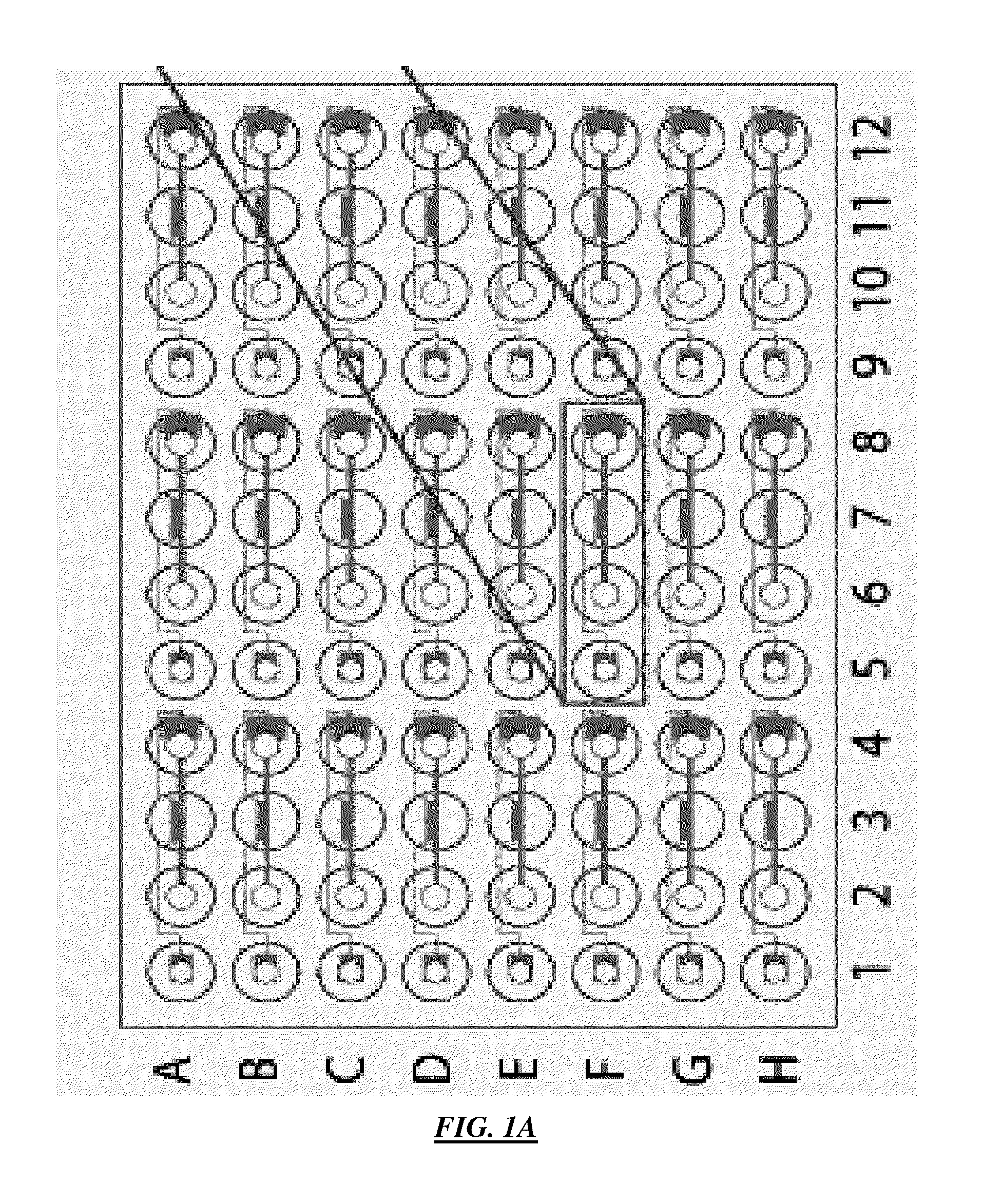 Cell Culture and Gradient Migration Assay Methods and Devices