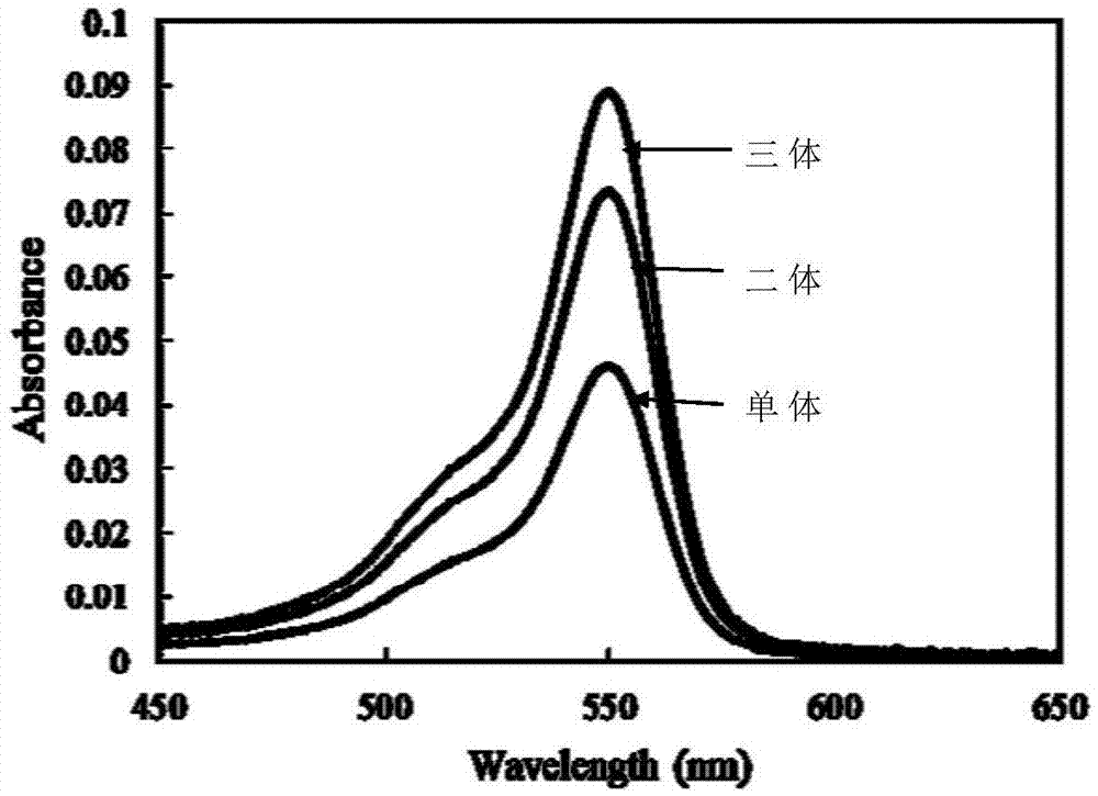 Preparation method of high fluorescence intensity recombinant phycobiliprotein concatermer