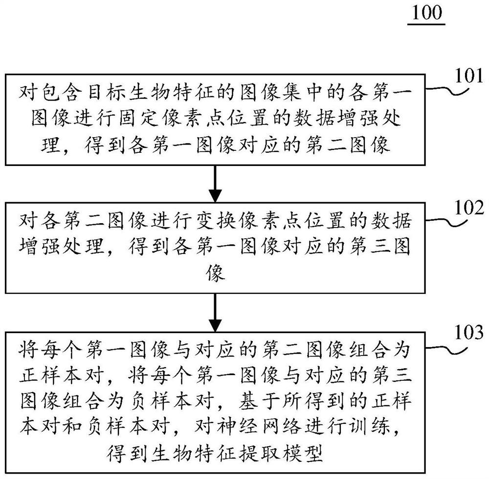 Biological feature extraction model training method and image segmentation method