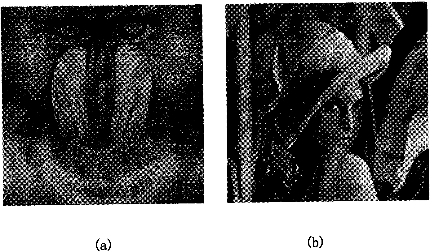 Method for quantitative digital microscopic phase contrast imaging
