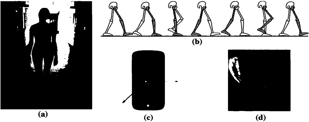 Human body identity identification based on gait trajectory curve characteristics