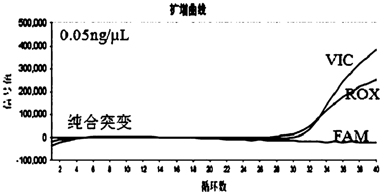 Product for detecting polymorphism of CYP3A5 gene and detection method and application of product