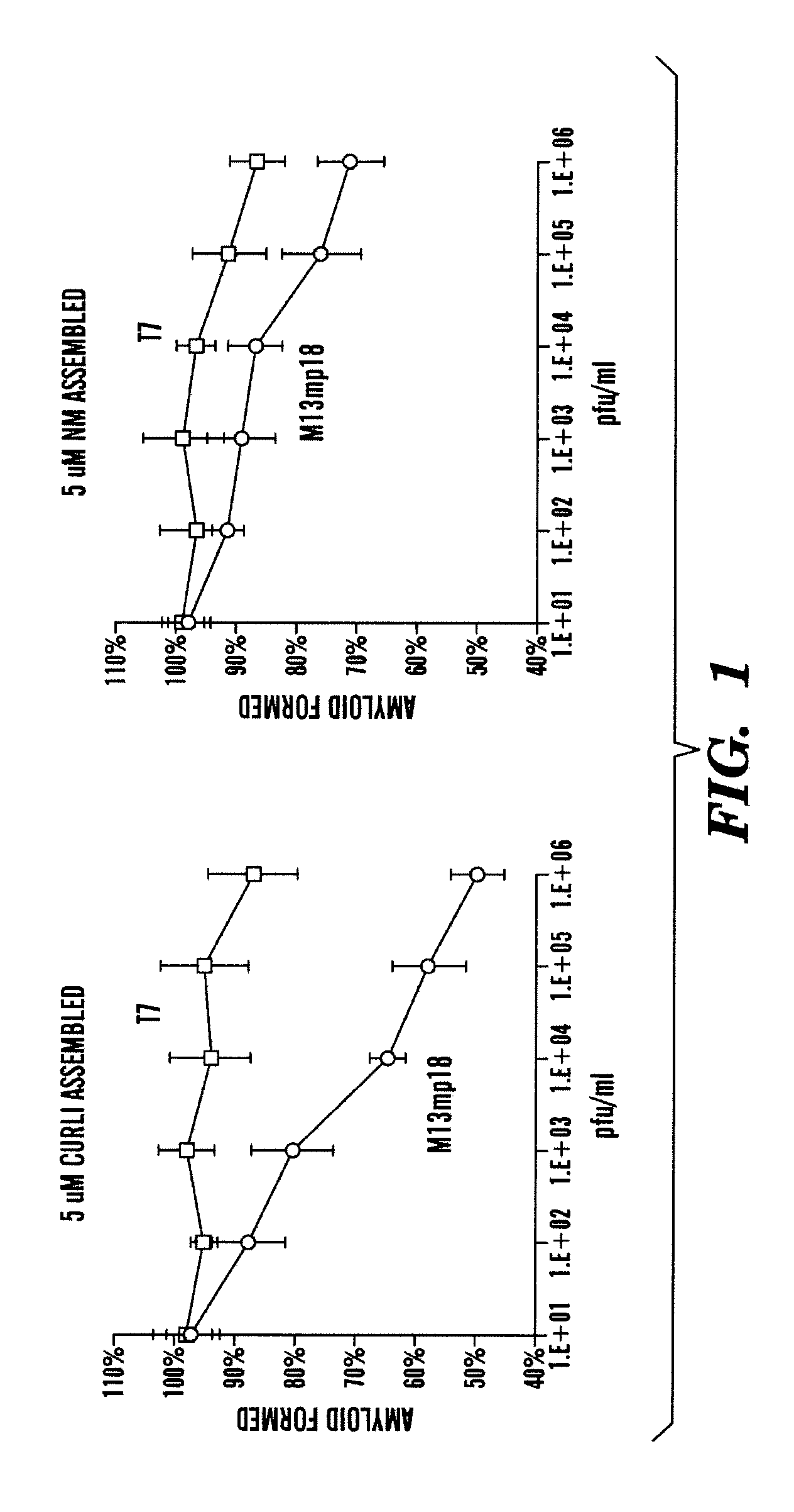 Bacteriophages expressing amyloid peptides and uses thereof