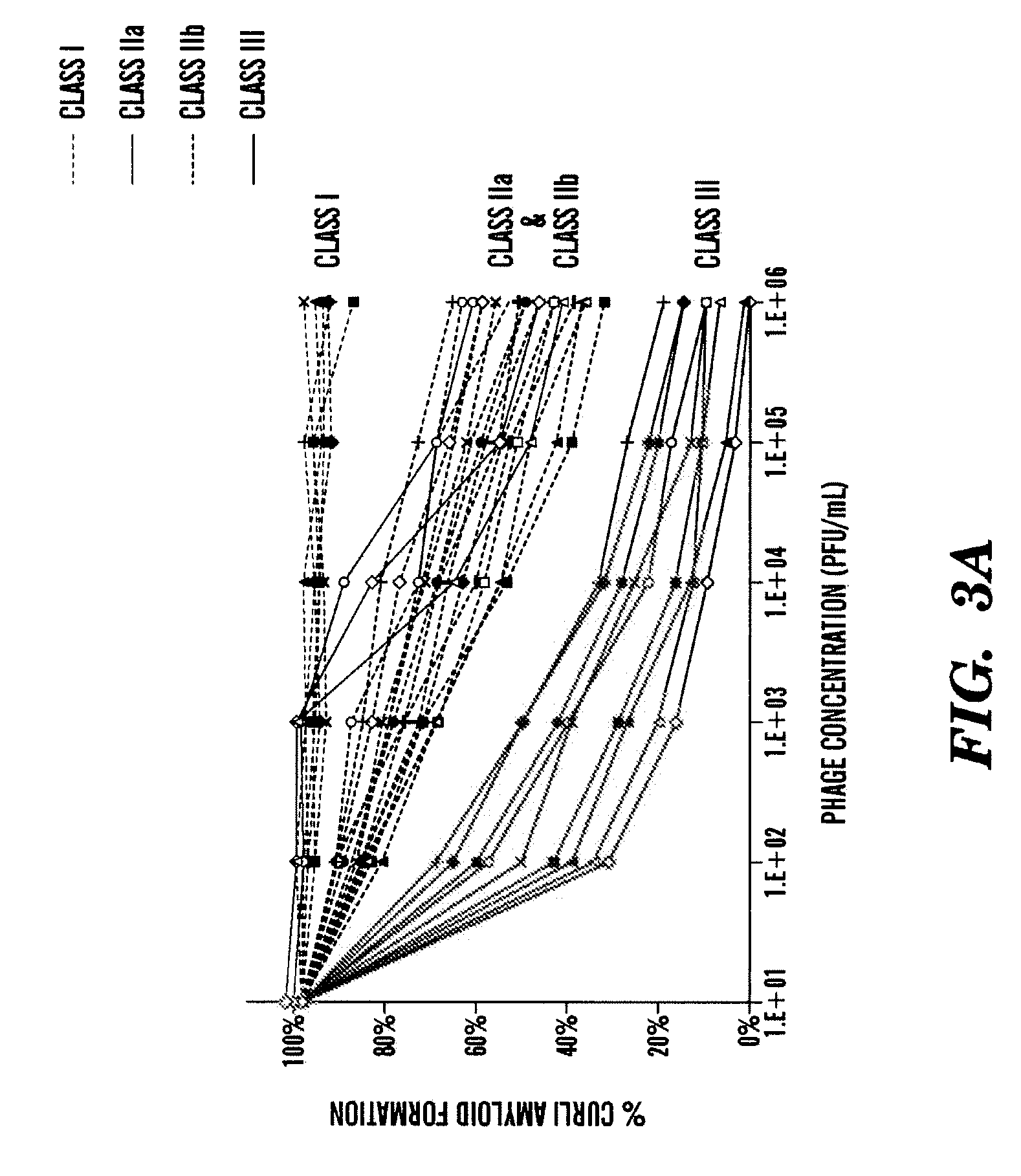 Bacteriophages expressing amyloid peptides and uses thereof