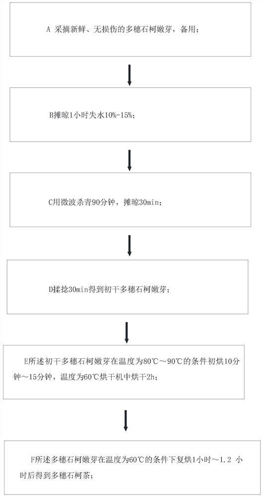 Preparation method of lithocarpus polystachyus tea