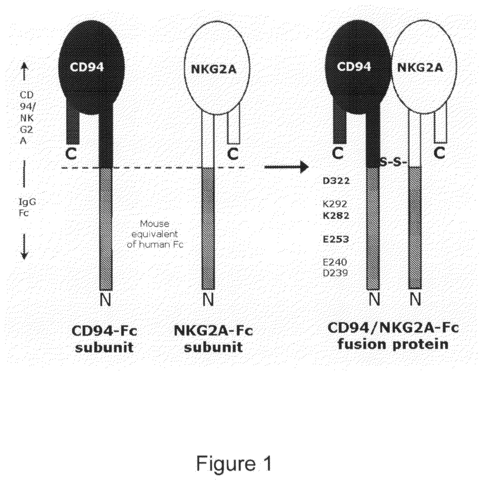 Soluble Heterodimeric Receptors and Uses Thereof