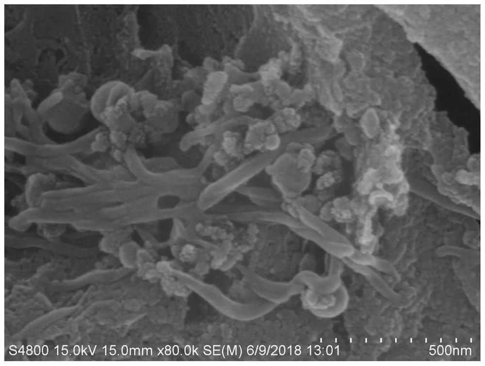 A kind of geopolymer-based wood adhesive and its preparation method and application
