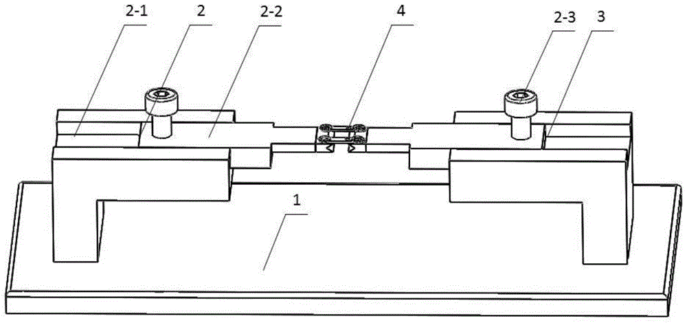 A fixed observation device for live imaging of animal spinal cord