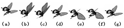 Simulation and control method, system and readable storage medium of lepidopteran insect model