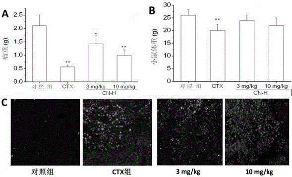 A kind of extraction method and application of anticancer active part of crocodile mouth flower