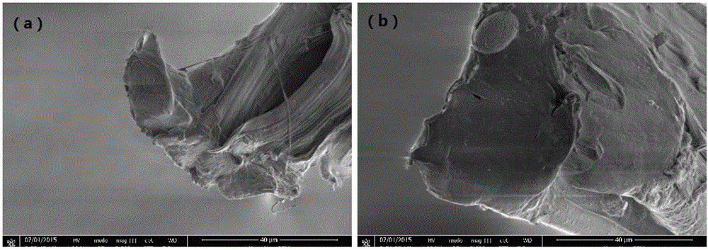 Graphene/UHMWPE composite fiber and preparation method and application thereof