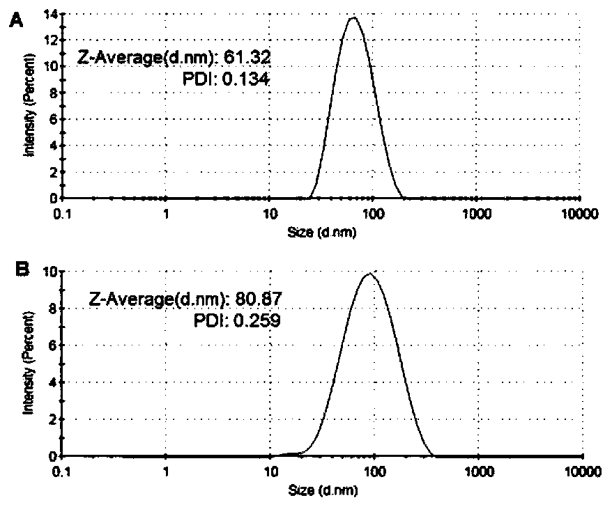 Nano drug delivery system with mimic enzyme activity, drug-loaded nanoparticles and preparation method and application thereof