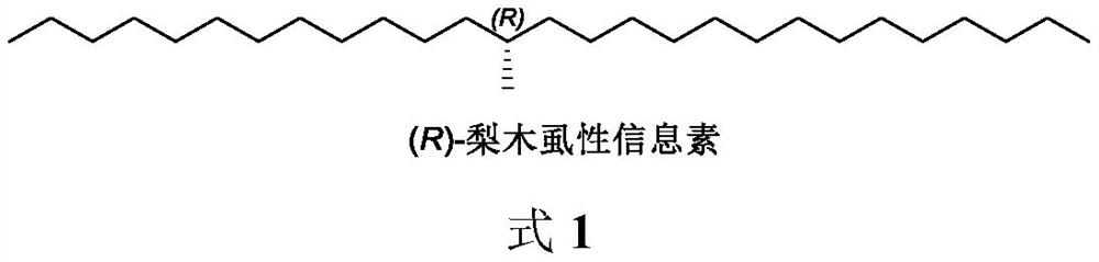 Method for synthesizing (R)-cacopsylla pyricola sex pheromone