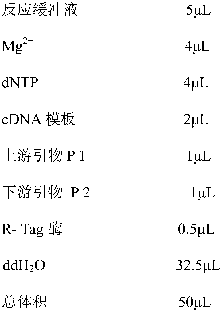 Laodelphax striatellus lethal gene fragment ATPase and application thereof