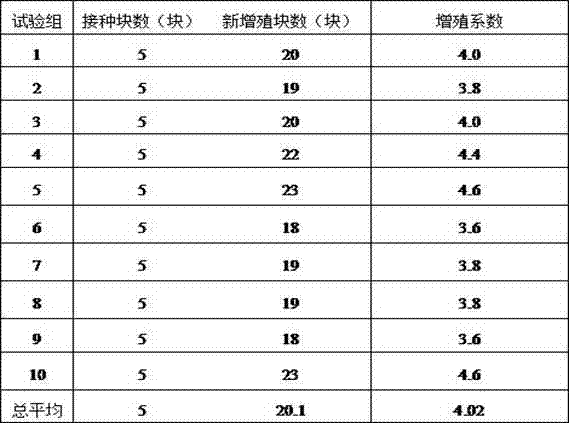 Method for reducing tissue culture production cost of hosta plantagineu