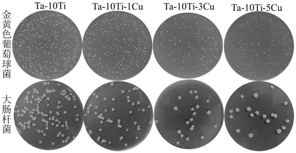 Ultralow elastic modulus antibacterial medical tantalum alloy and preparation method thereof