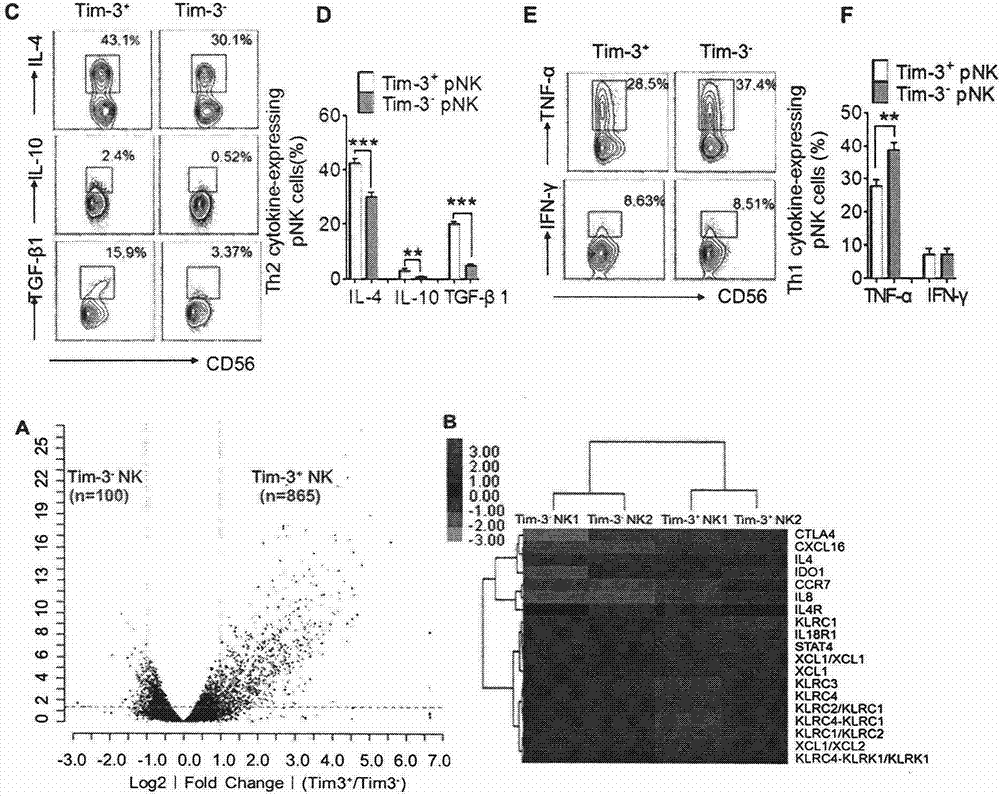 Application of Tim-3 expressing peripheral blood NK cells to preparation of spontaneous abortion biomarker