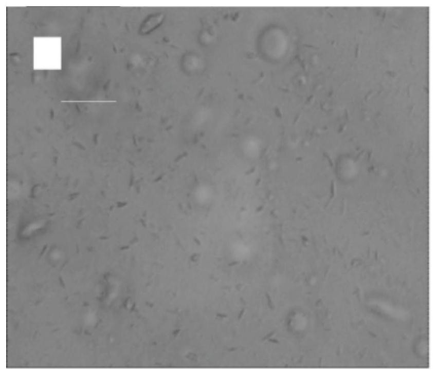 A kind of pickering emulsion and its preparation method and its application in heavy oil emulsification and viscosity reduction