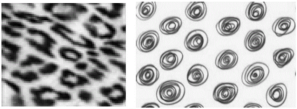 Three-dimensional surface texture synthesis method based on primitive element distribution