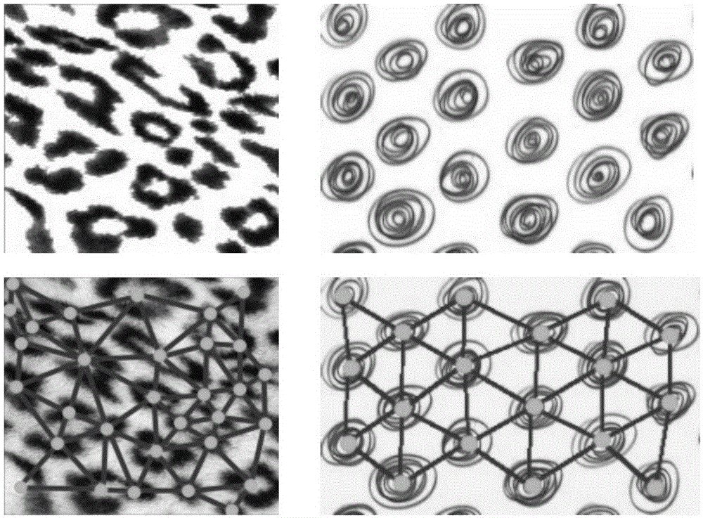 Three-dimensional surface texture synthesis method based on primitive element distribution