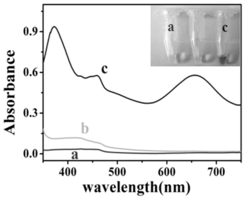 A nano-co based  <sub>3</sub> o  <sub>4</sub> Double-amplified Zearalenone Impedance Sensor Mimicking Enzyme Catalysis