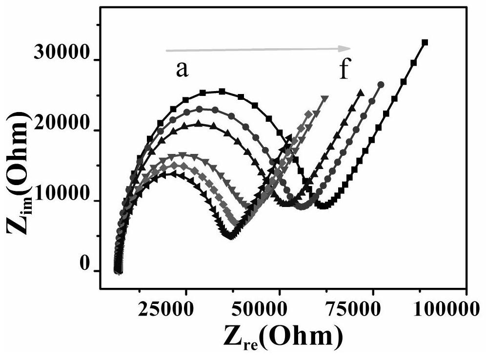 A nano-co based  <sub>3</sub> o  <sub>4</sub> Double-amplified Zearalenone Impedance Sensor Mimicking Enzyme Catalysis